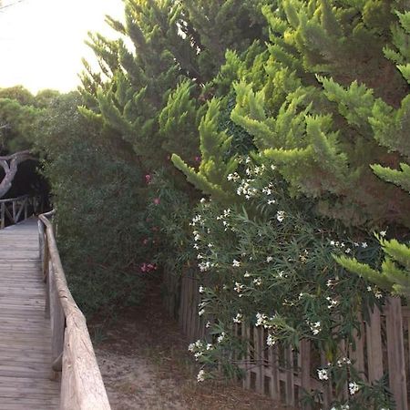 Muy Cerca De La Playa. Primera Linea. Daire Rota Dış mekan fotoğraf