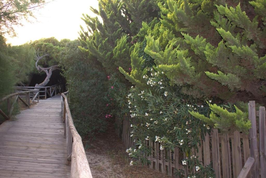 Muy Cerca De La Playa. Primera Linea. Daire Rota Dış mekan fotoğraf